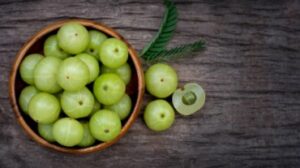 मेथी (Fenugreek) मेथी (Fenugreek)